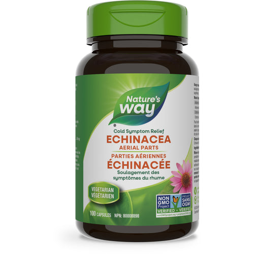 Echinacea