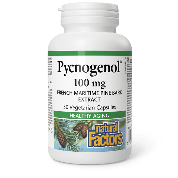 Pycnogenol 100mg