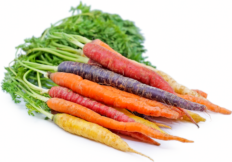 Organic Rainbow Carrots