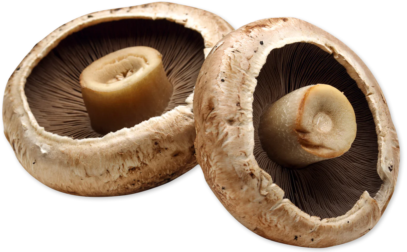 Organic Portabello Mushrooms