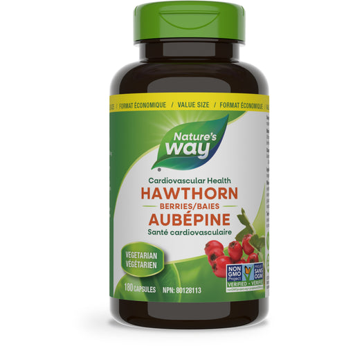 Hawthorn Berries