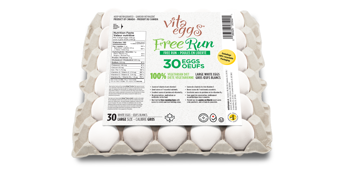 Free Run Large Eggs