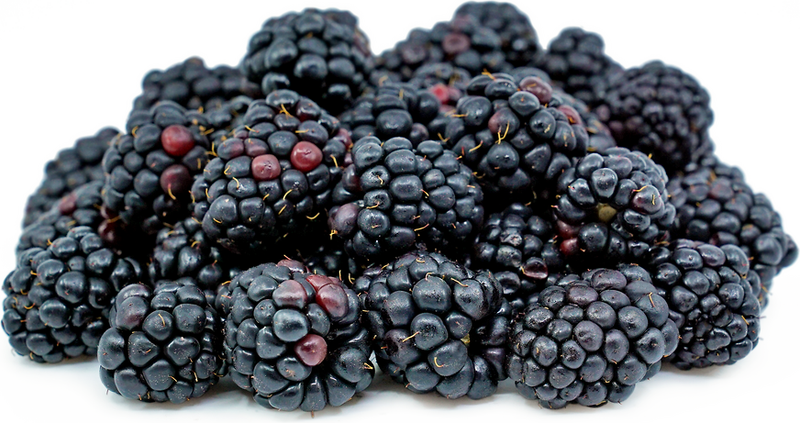 Organic Blackberries