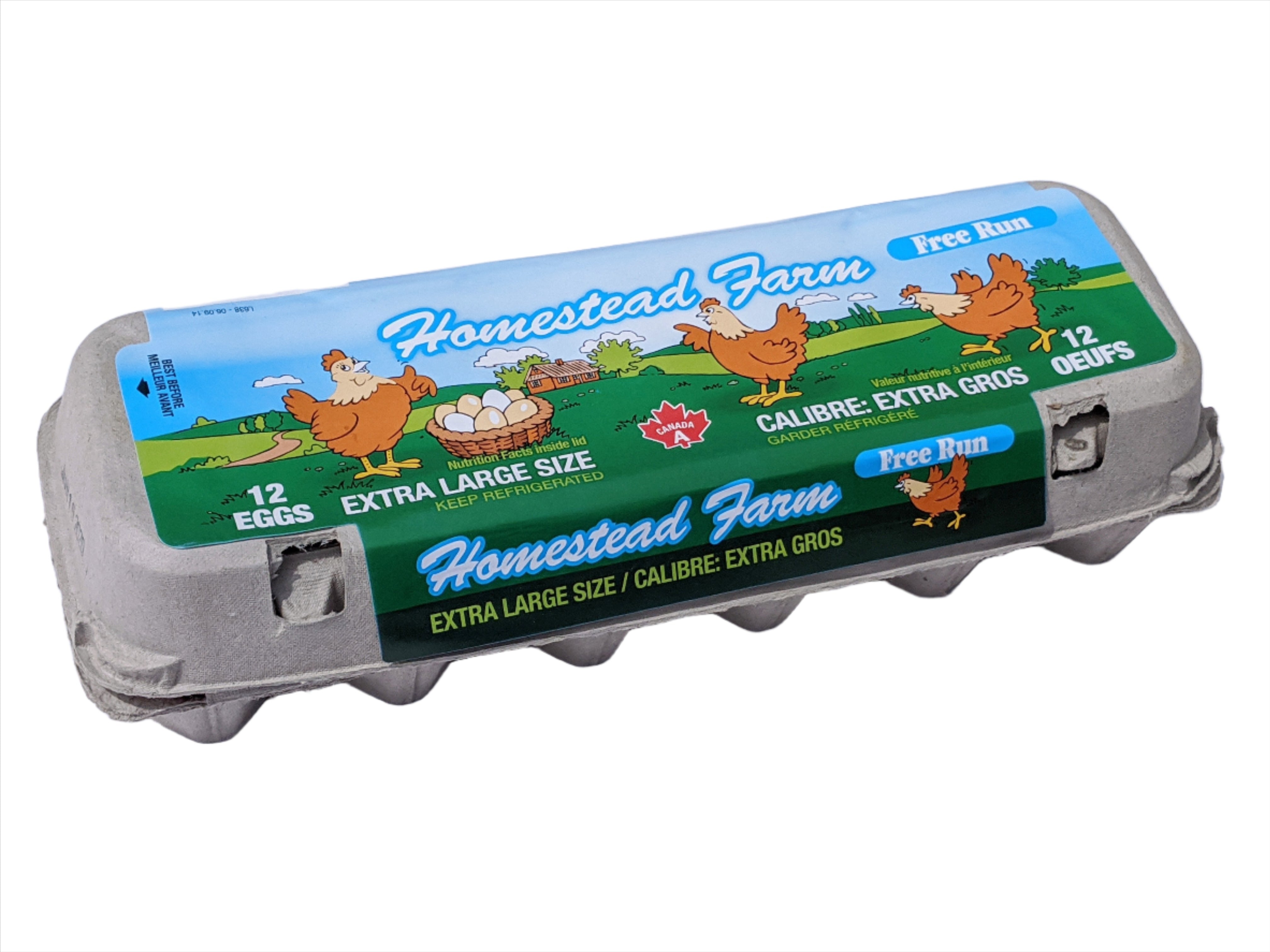 Homestead Free Range Eggs XL