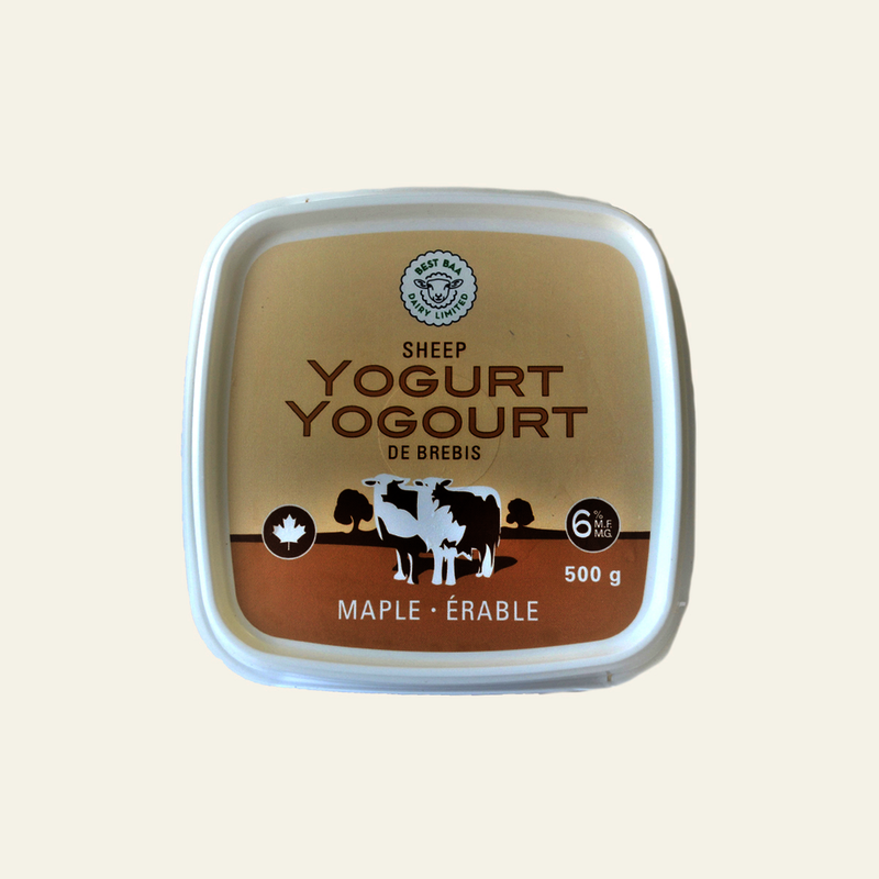 Maple Sheep Milk Yogurt