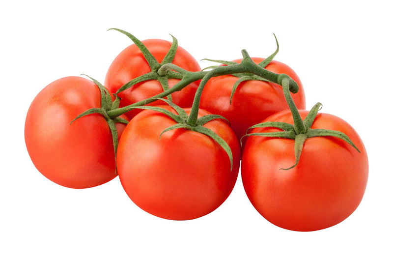 Organic Vine Tomatoes