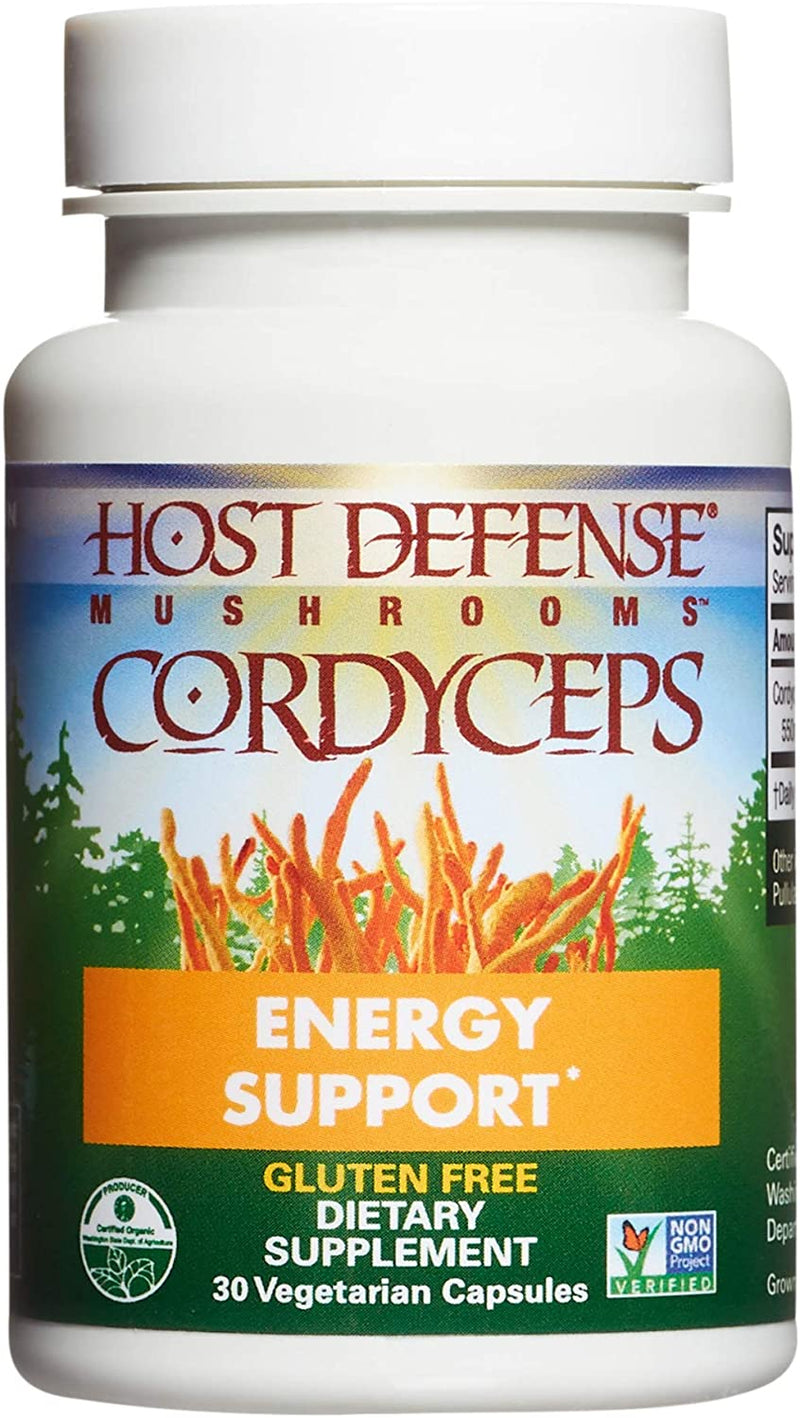 Cordyceps