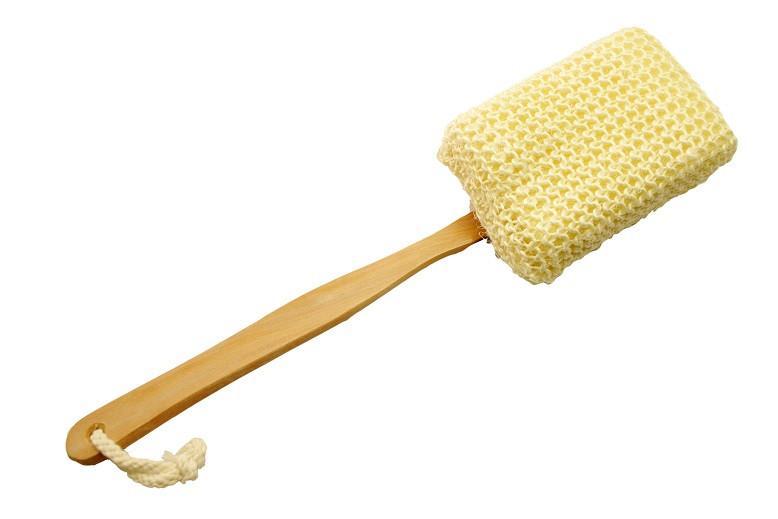 Wood Handle Sisal Back Brush