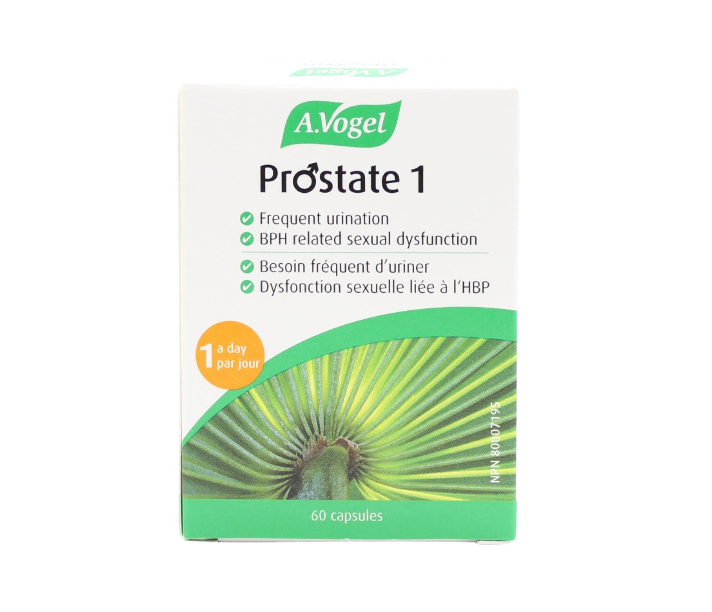 Prostate 1