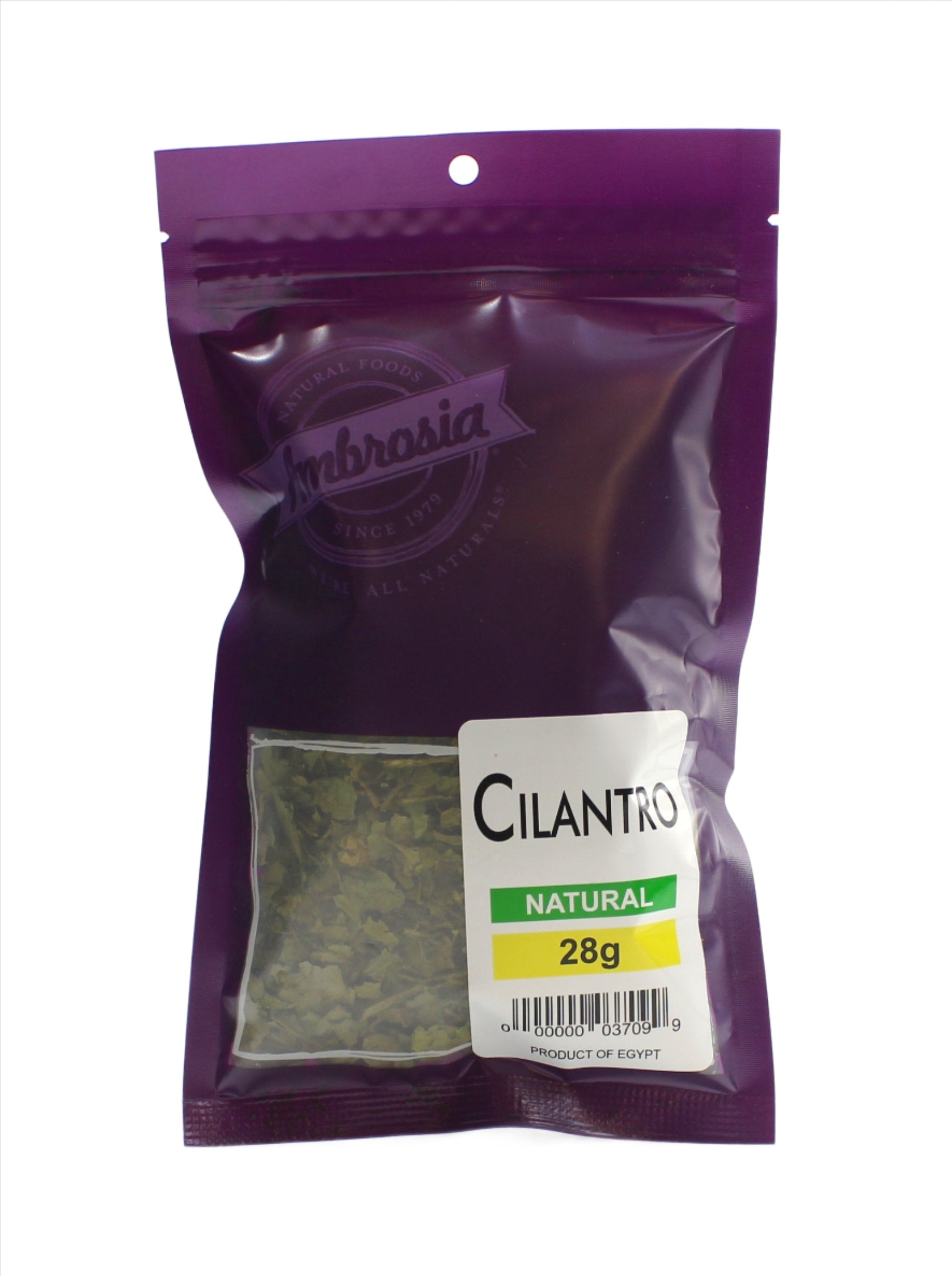 Cilantro