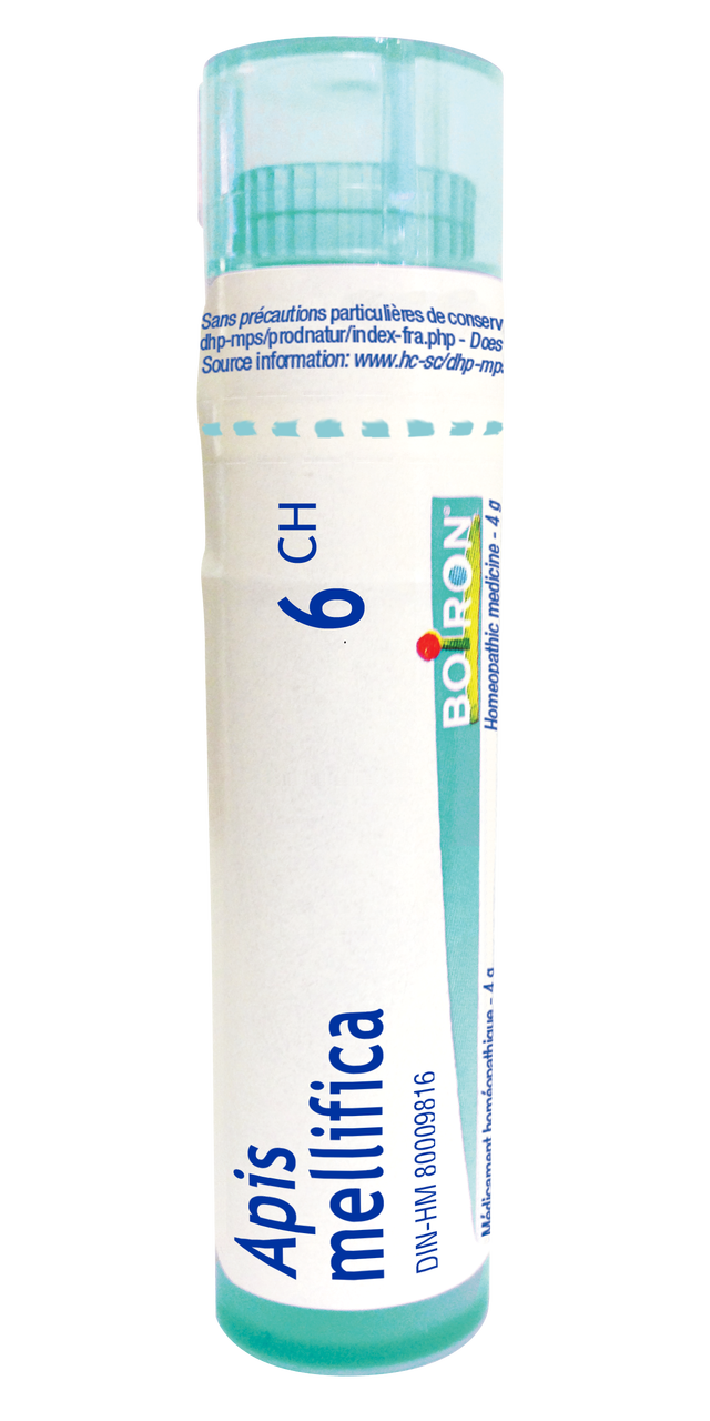 Apis Mellifica 6CH