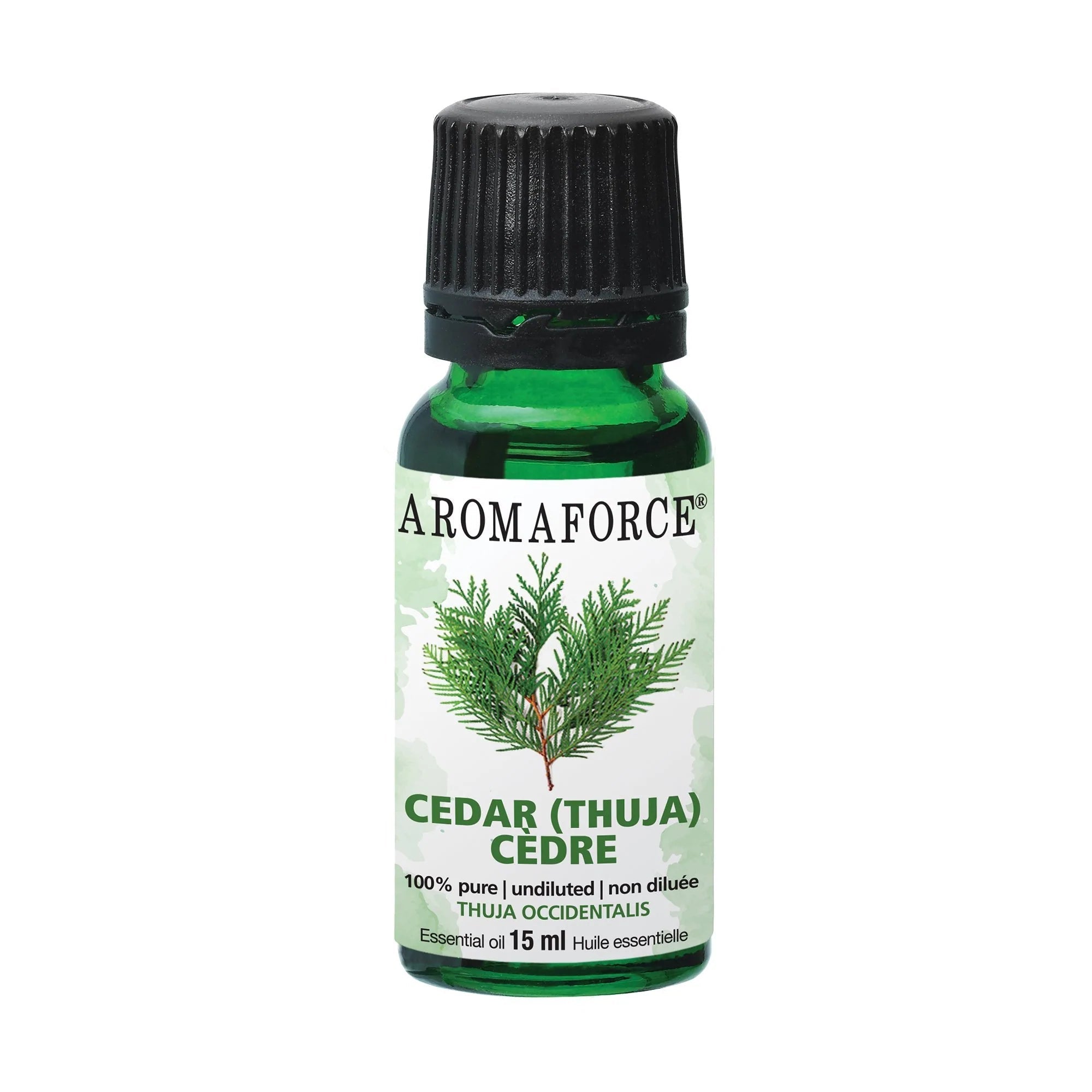 Cedar Oil