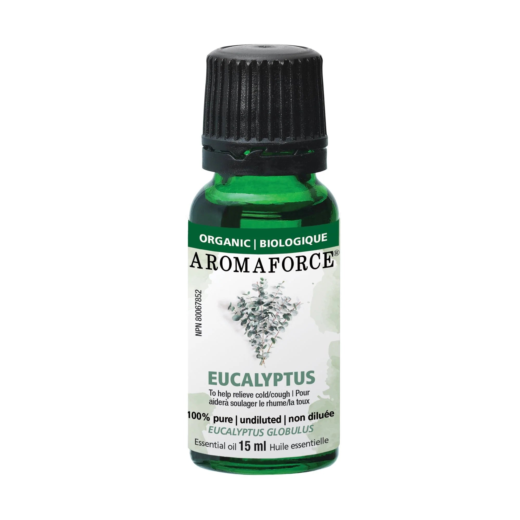 Eucalyptus Oil