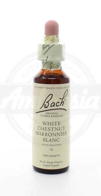 White Chestnut Essences