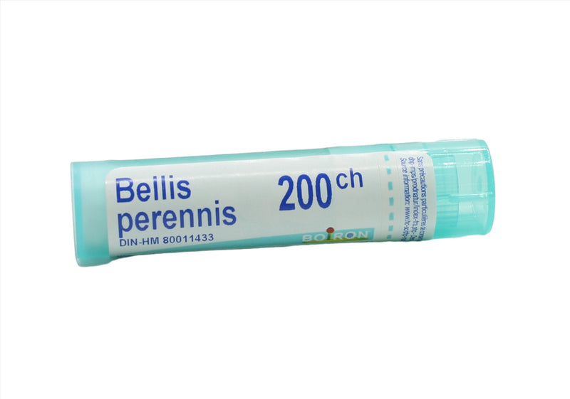Bellis Perennis 200ch