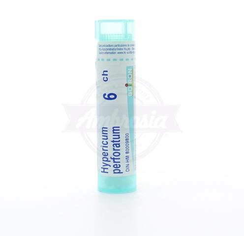 Hypericum Perforatum 6Ch