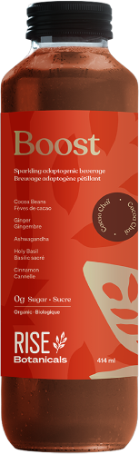 Boost - Cocoa Chai Beverage