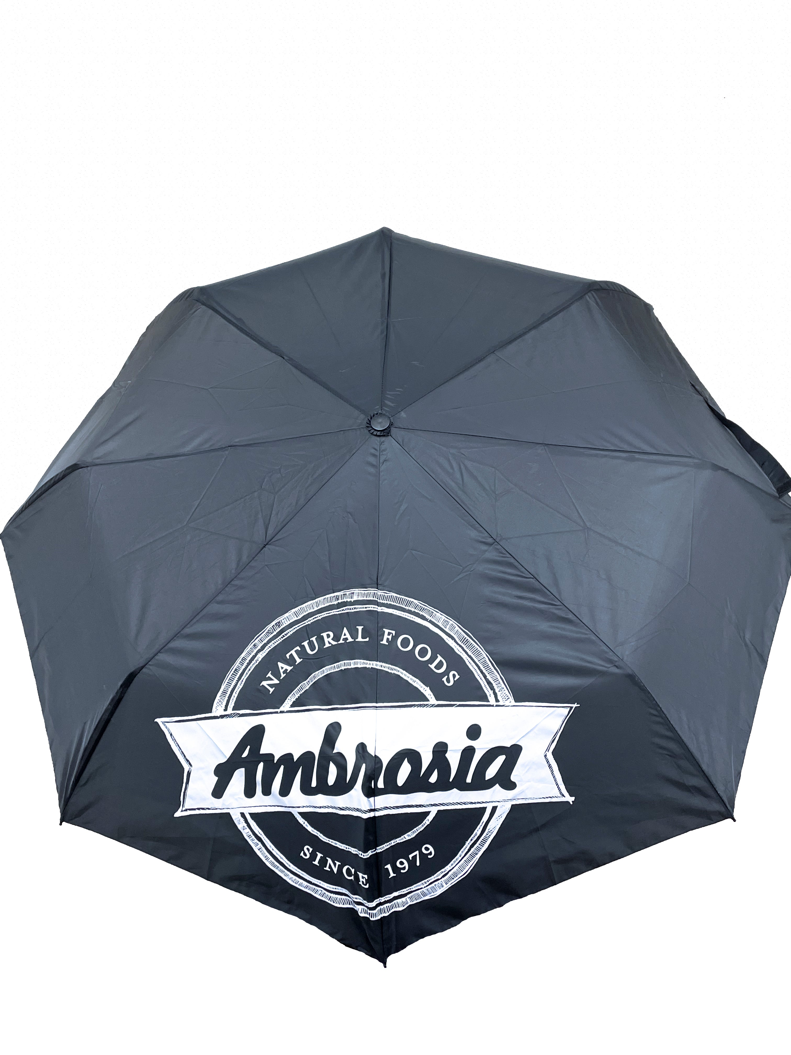 Umbrella - Final Sale