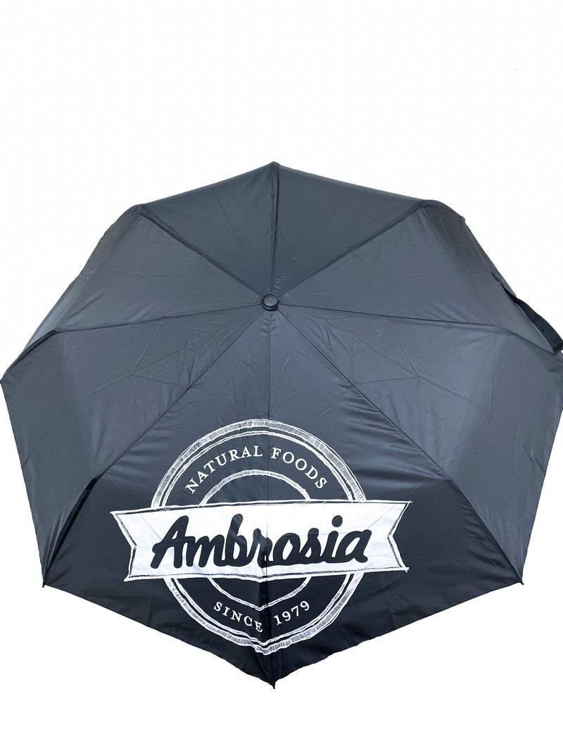Umbrella - Final Sale
