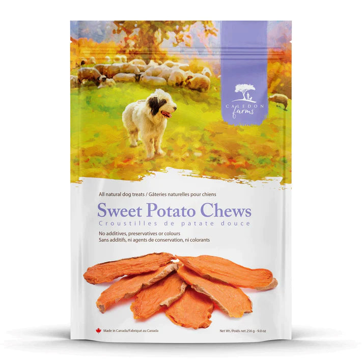 Sweet Potato Chews