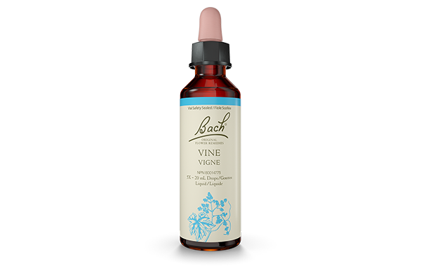 Vine Essences