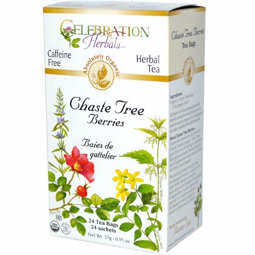 Organic Chaste Tree Berries Tea