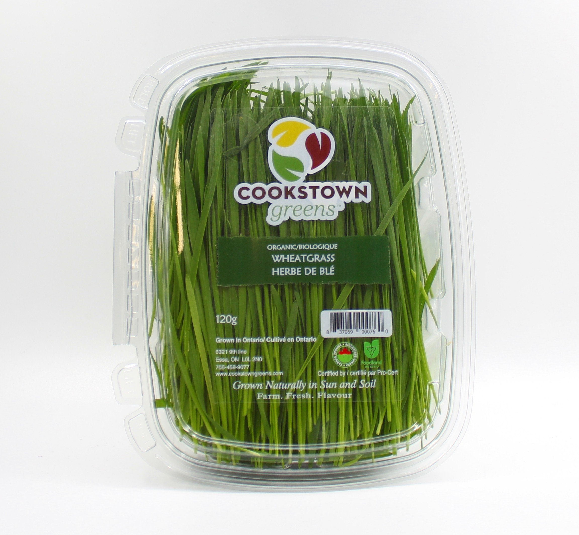Organic Wheatgrass