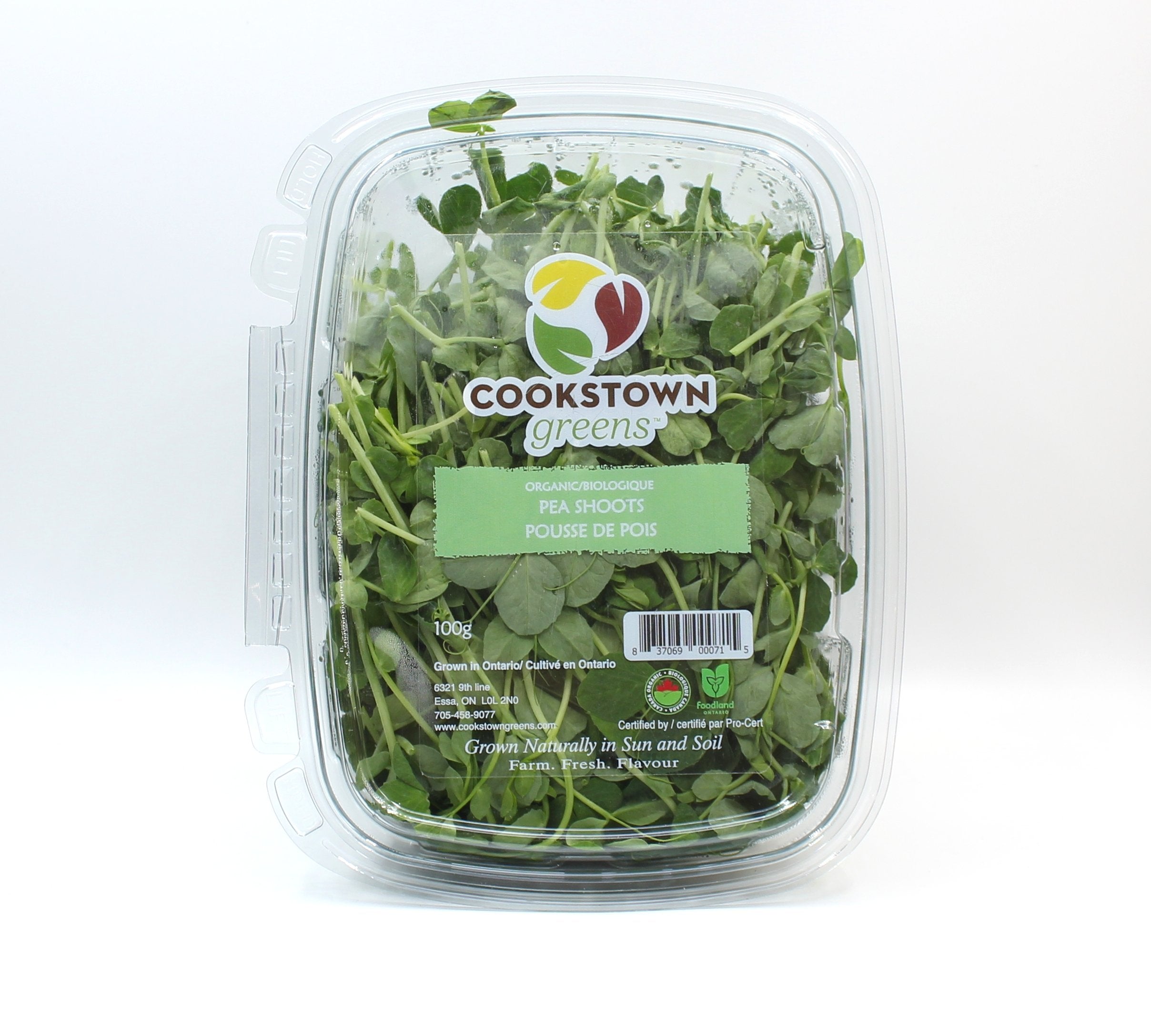 Organic Pea Shoots