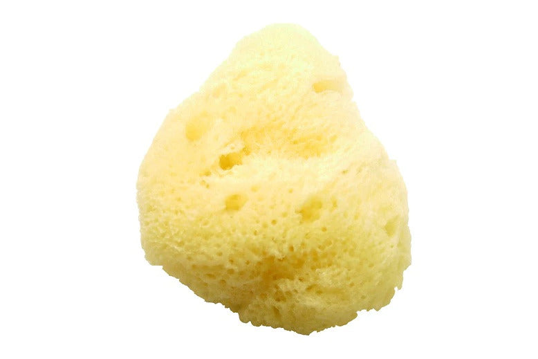 Cosmetic Sea Sponge