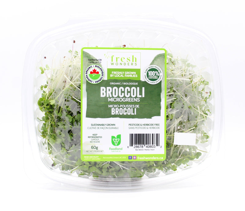 Organic Broccoli Microgreens