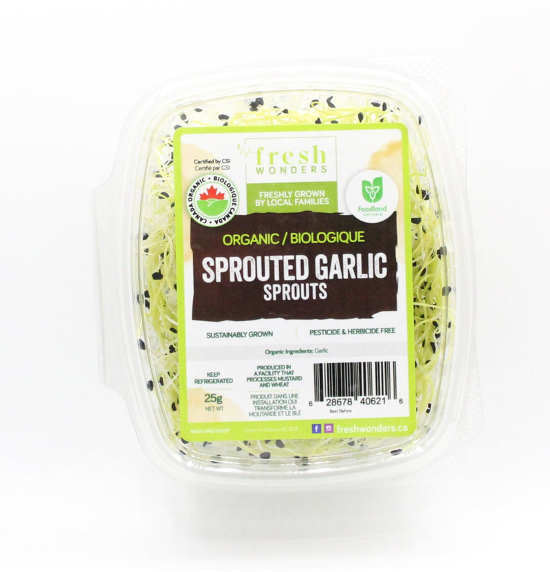 Organic Sprouted Garlic Sprouts