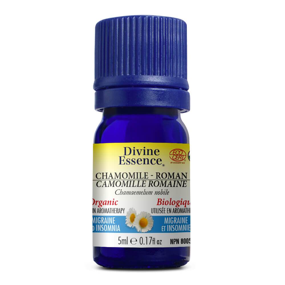 Divine Essence Organic Roman Chamomile Oil