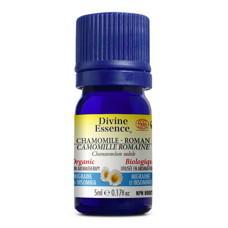 Organic Roman Chamomile Oil