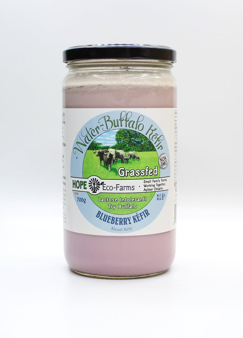 Buffalo Blueberry Kefir