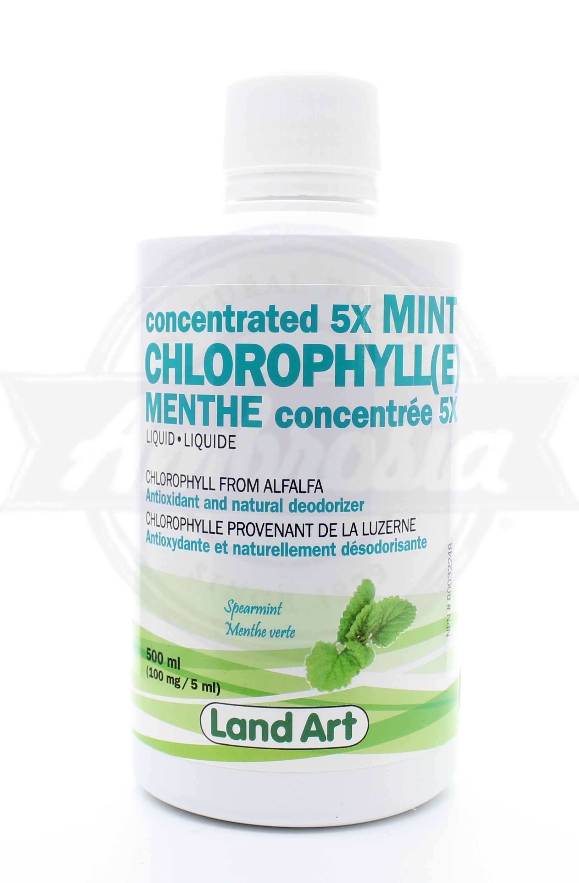 Mint Chlorophyll 5X
