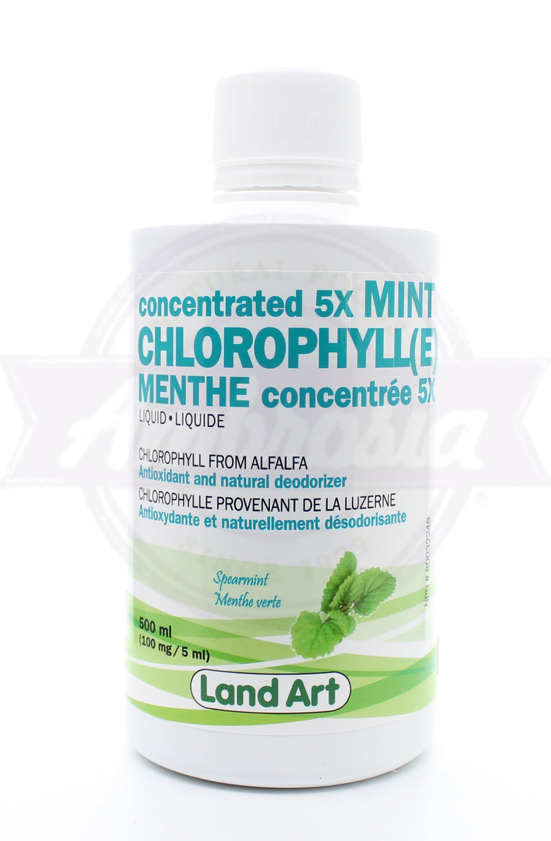 Mint Chlorophyll 5X