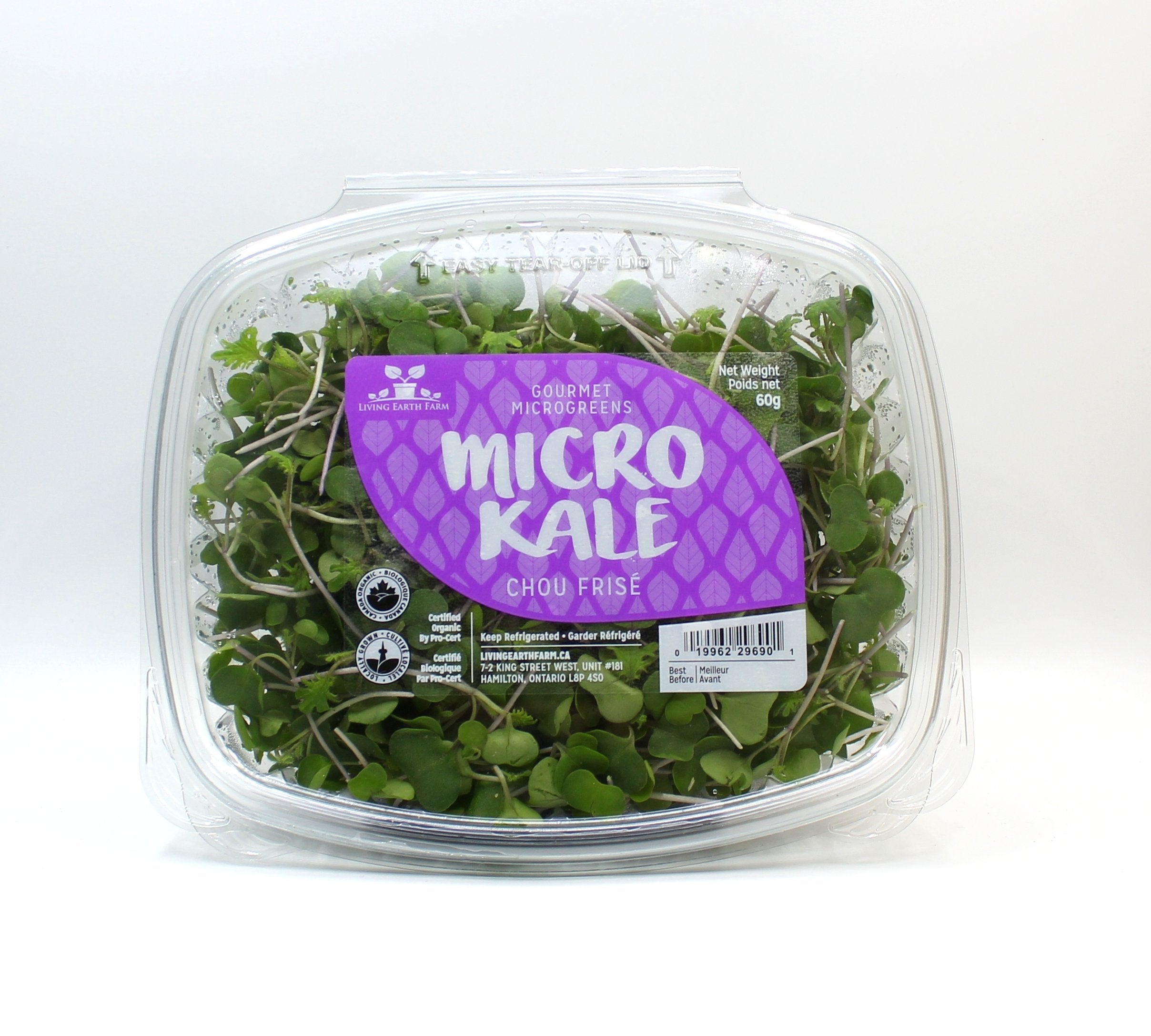 Organic Micro Kale