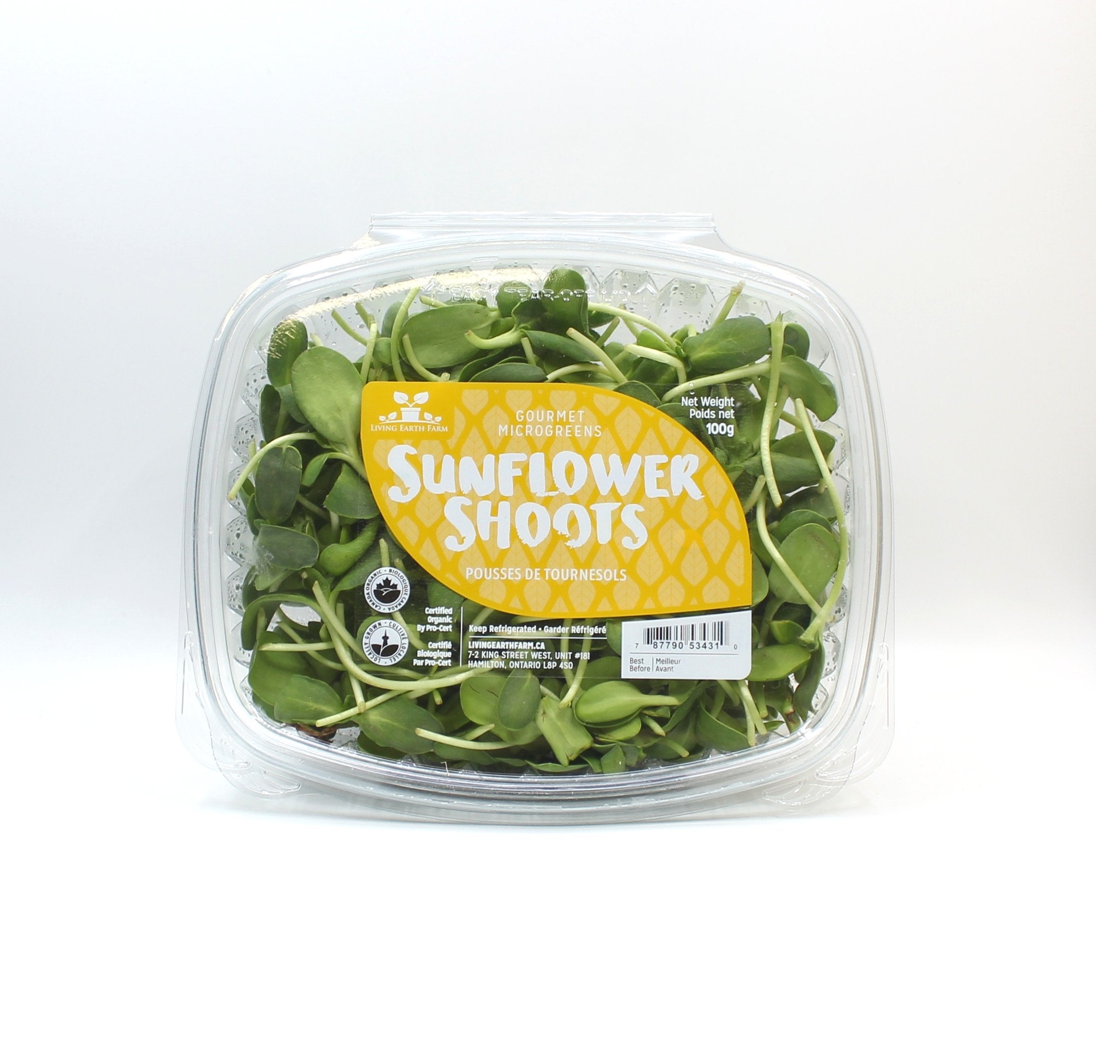 Organic Sunflower Shoots