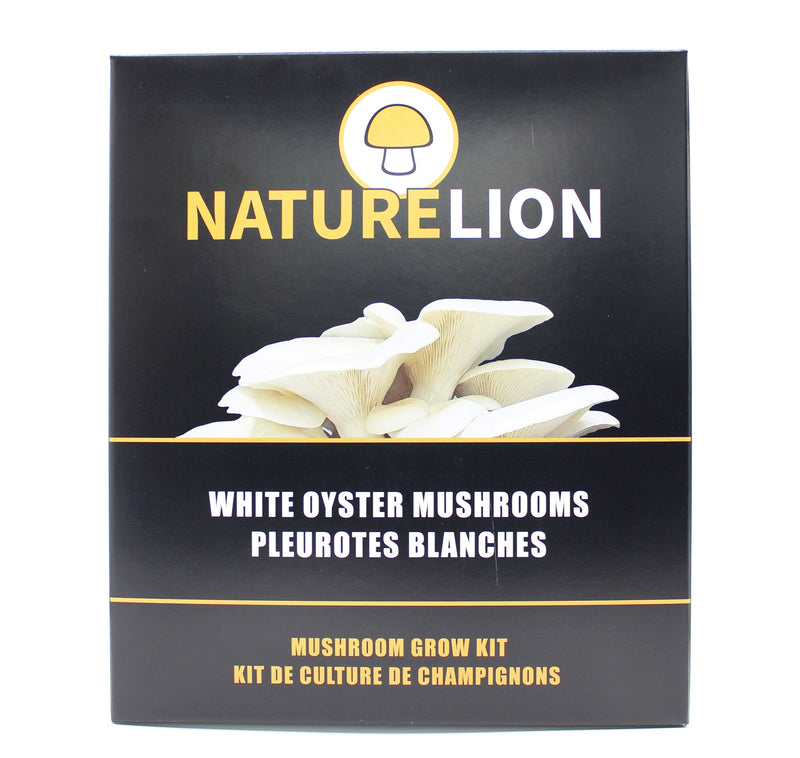 White Oyster Mushroom Grow Kit