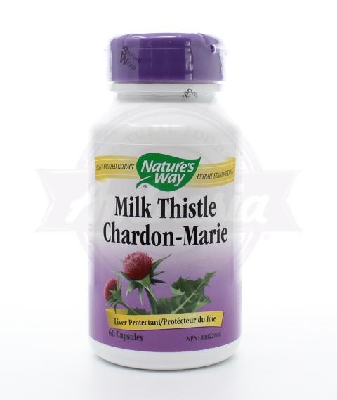 Milk Thistle