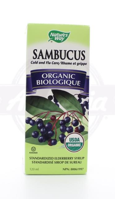 Organic Sambucus Elderberry