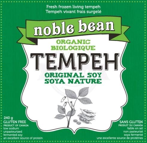 Organic Original Tempeh