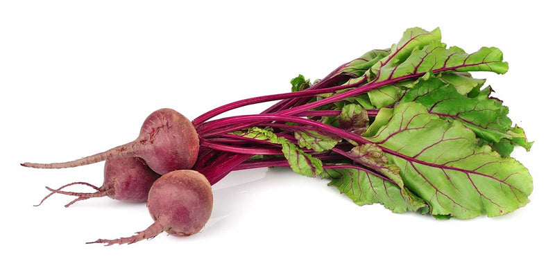 Organic Bunched Beets