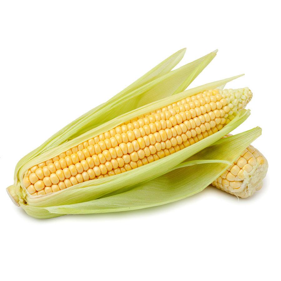 Organic Corn On The Cob