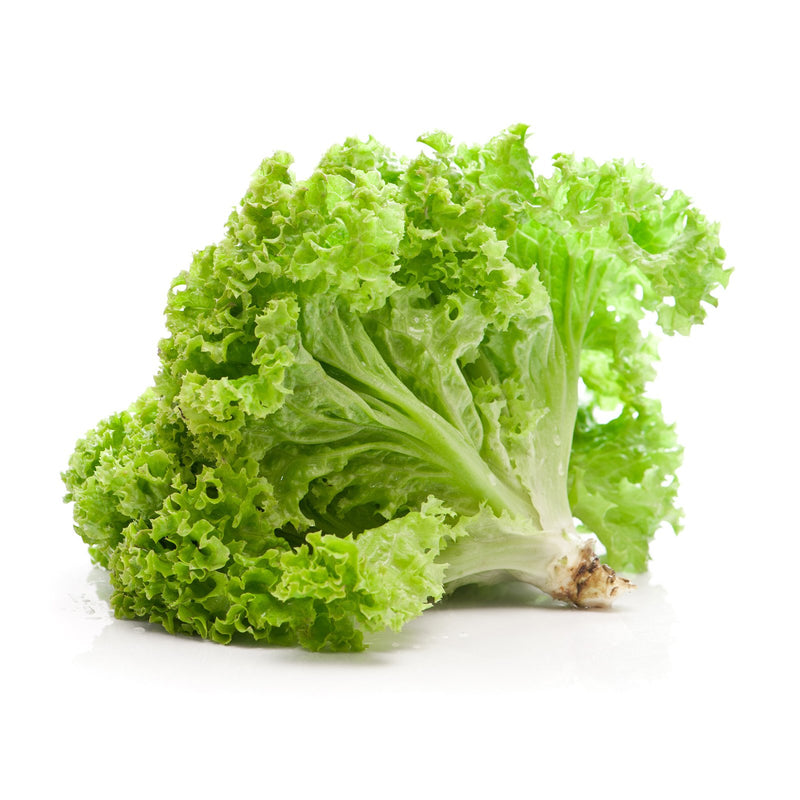 Organic Green Leaf Lettuce