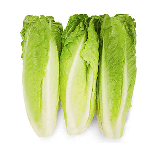 Organic Romaine Lettuce 3 Pack