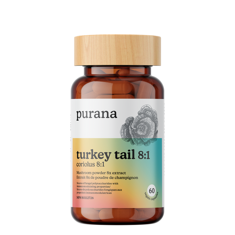 Turkey Tail 8:1 Extract