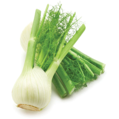 Organic Fennel