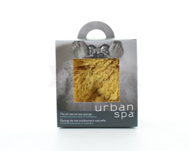 Body Sea Sponge