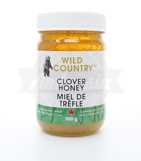 Clover Honey